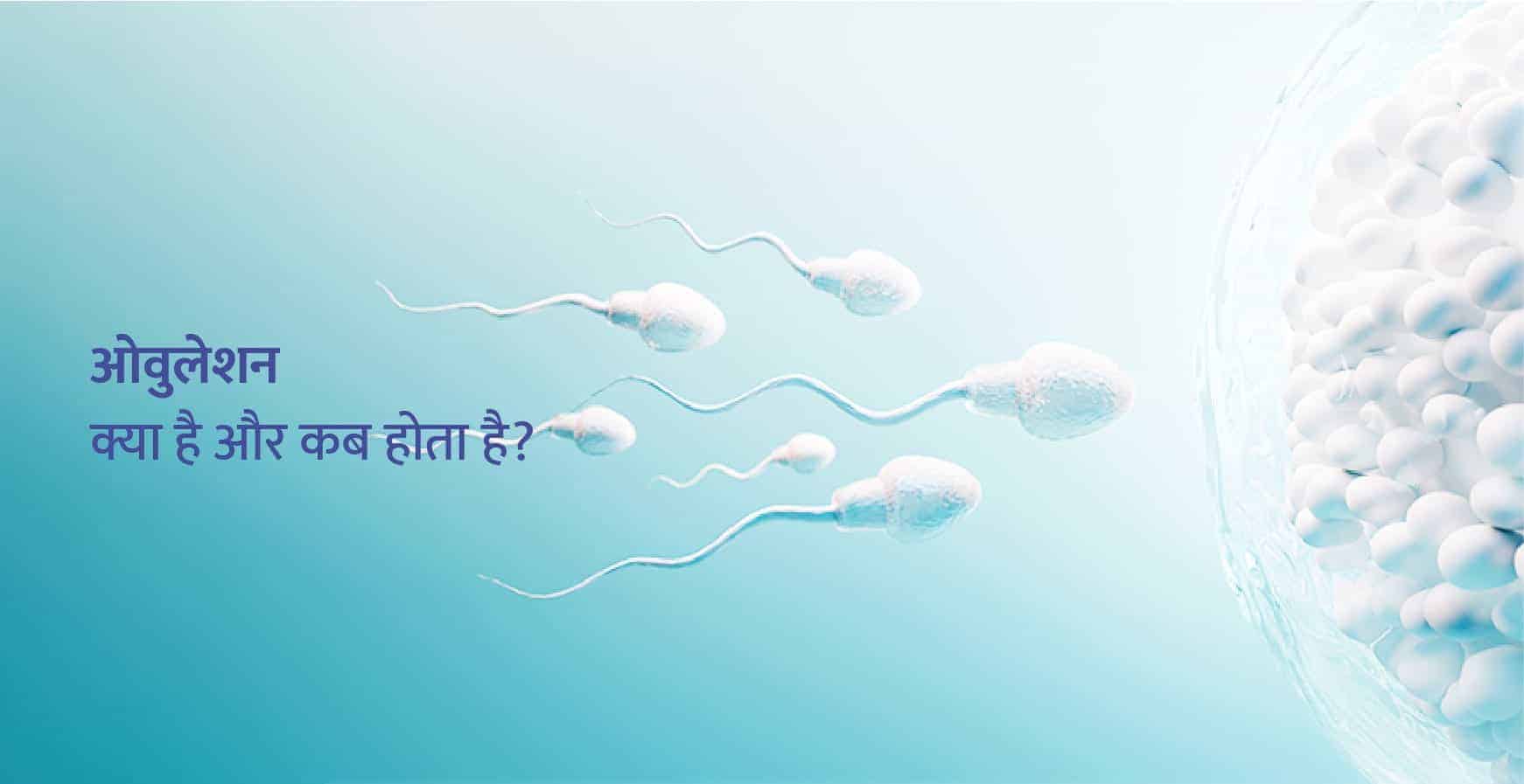 ओवुलेशन (Ovulation) क्या है और कब होता है?