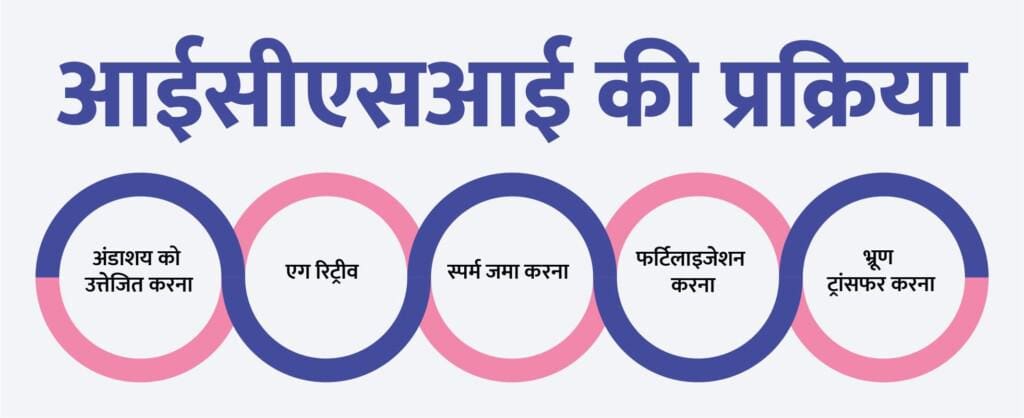 ICSI-process-in-Hindi 