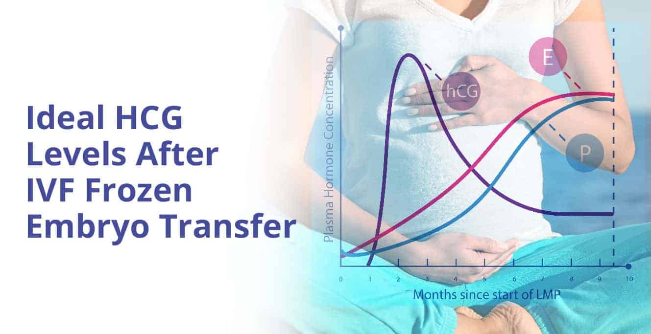 HCG Levels After IVF Frozen Embryo Transfer