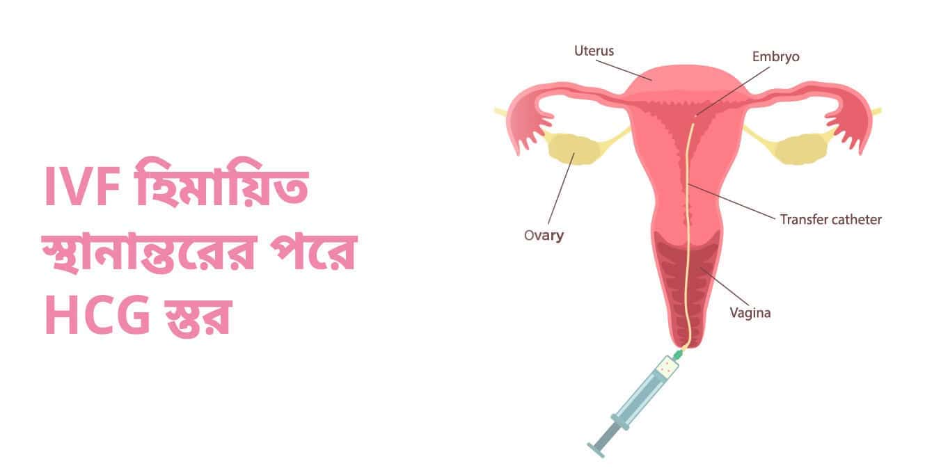 IVF হিমায়িত ভ্রূণ স্থানান্তরের পরে HCG মাত্রা