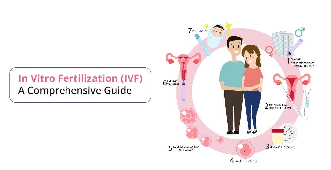 IVF Treatment: Everything You Need to Know