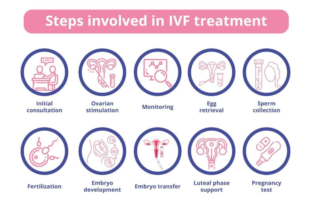  Steps involved in IVF treatment, including initial consultation, ovarian stimulation, monitoring, egg retrieval, sperm collection, fertilization, embryo development, embryo transfer, luteal phase support, and pregnancy test.