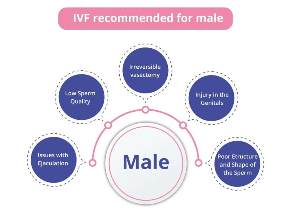 IVF recommended for males due to issues like low sperm quality, irreversible vasectomy, genital injuries, ejaculation problems, and poor sperm structure or shape.