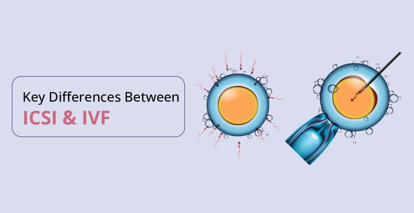 ICSI vs IVF: முக்கிய வேறுபாடுகளைப் புரிந்துகொள்வது