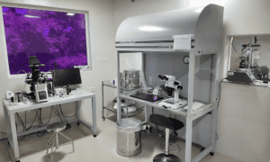 IVF Lab