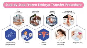 Step-by-Step Frozen Embryo Transfer Procedure