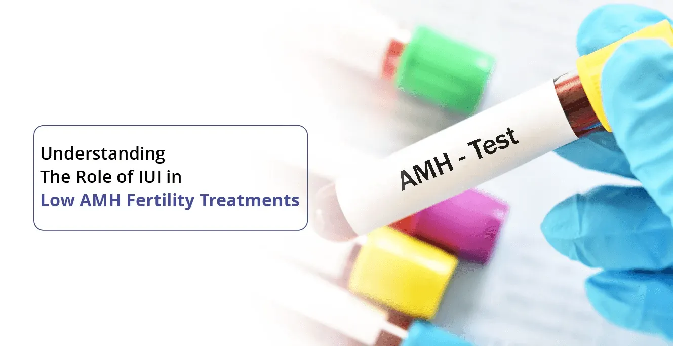 Understanding The Role of IUI in Low AMH Fertility Treatment