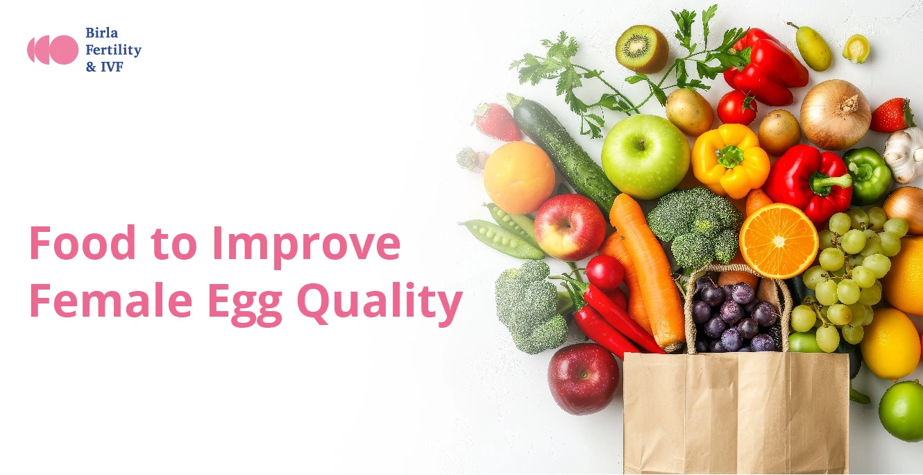 Food to Improve Female Egg Quality