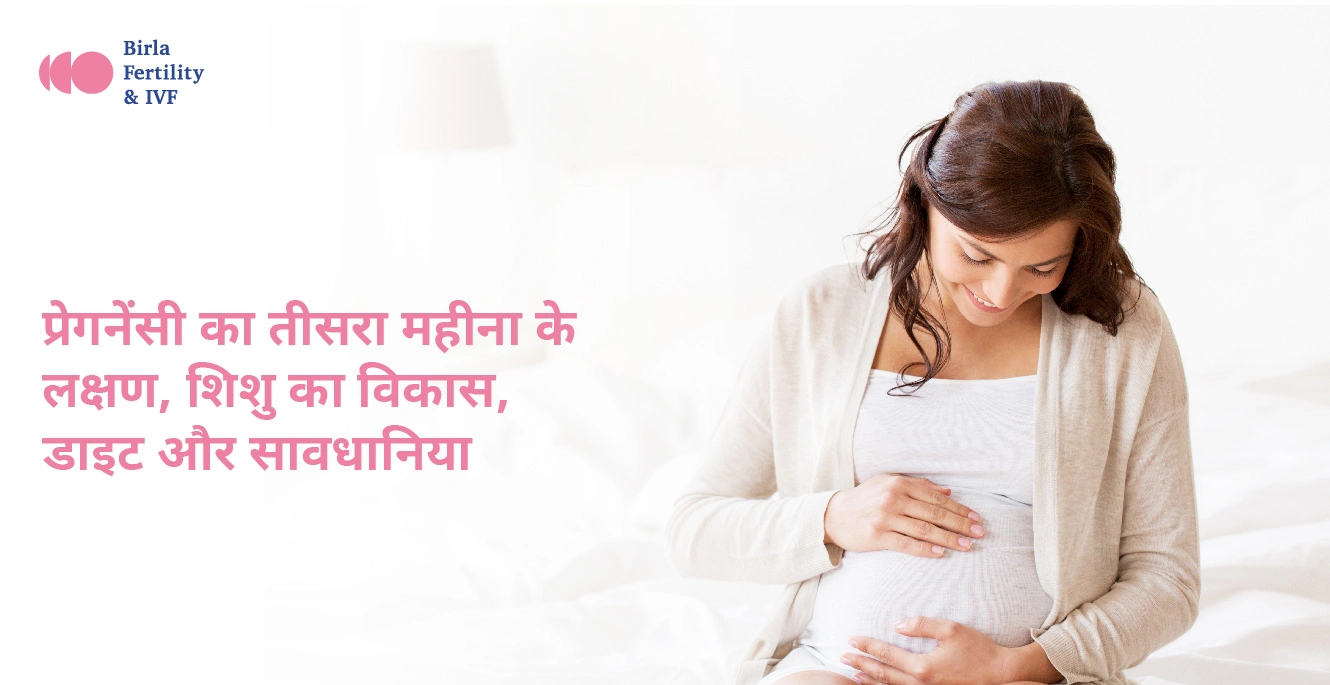 3 Month Pregnancy in Hindi: प्रेगनेंसी का तीसरा महीना के लक्षण, शिशु का विकास, डाइट और सावधानियां