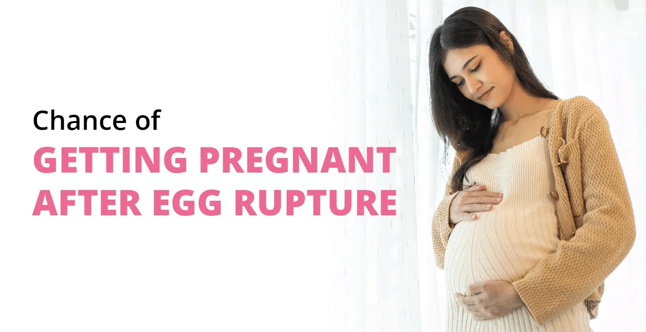 Chance of Getting Pregnant After Egg Rupture