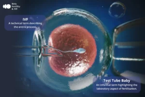 Myths and Facts about IVF and Test Tube Baby