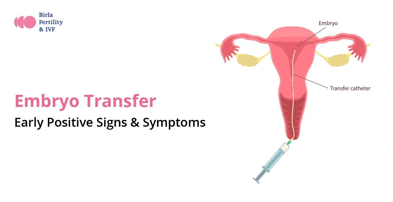 Embryo Transfer: Early Positive Signs & Symptoms