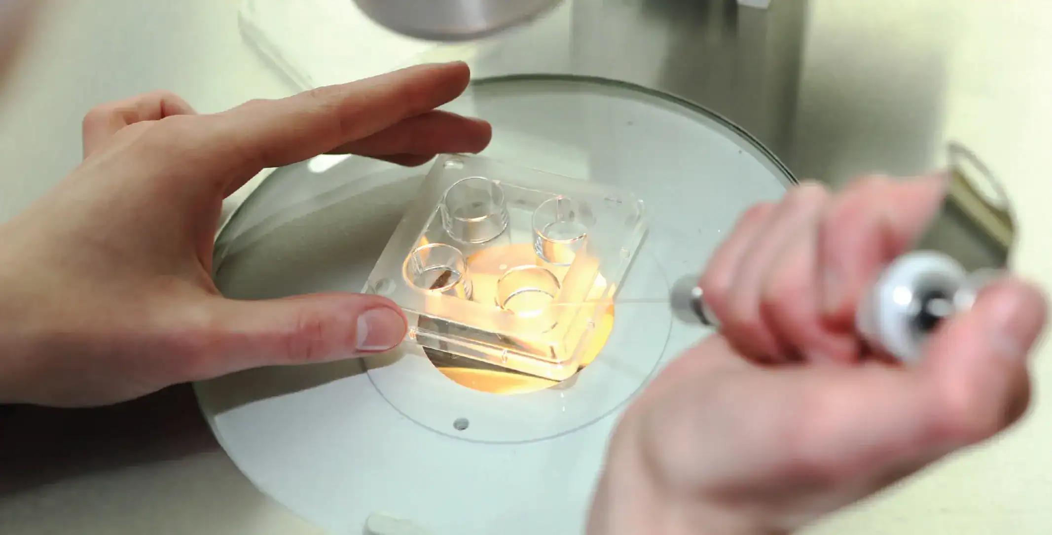 egg freezing infographics